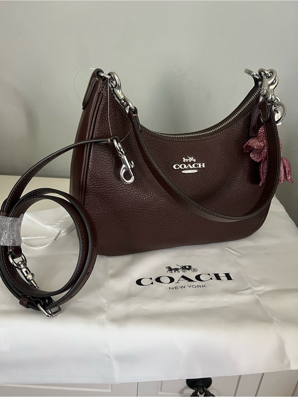 COACH Teri Hobo Bag in Maple Color - Picture 4 of 10